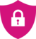 Cyber Security Icon